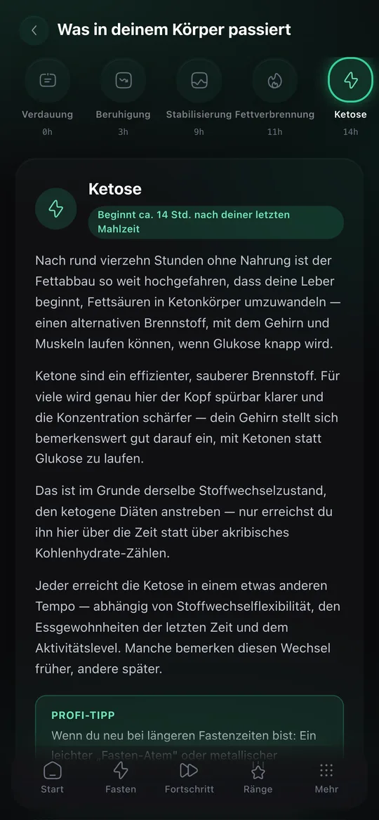 Was in deinem Körper passiert: Ketose-Phase mit Erklärung und Profi-Tipp
